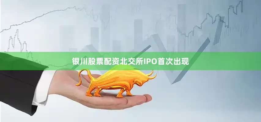 银川股票配资北交所IPO首次出现
