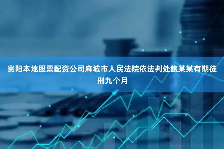 贵阳本地股票配资公司麻城市人民法院依法判处鲍某某有期徒刑九个月
